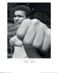 Umelecká tlač Muhammad Ali Commemorative - Punch, (60 x 80 cm)