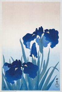 Plagát, Obraz - Ohara Koson - Iris Flowers