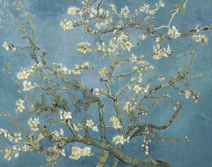 Obrazová reprodukcia Mandľové kvety, Vincent van Gogh