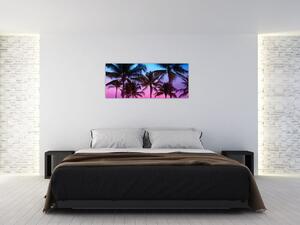 Obraz - Palmy v Miami (120x50 cm)