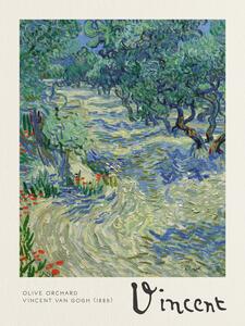 Obrazová reprodukcia Olive Orchard - Vincent van Gogh, (30 x 40 cm)