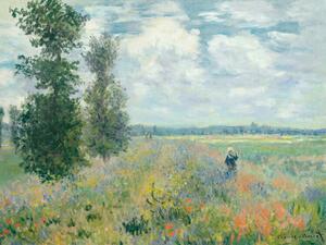 Obrazová reprodukcia Poppy Fields near Argenteuil - Claude Monet