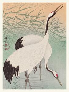 Obrazová reprodukcia Two Cranes (Japandi Vintge) - Ohara Koson