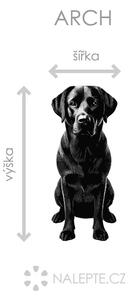 Nalepte.cz Labradorský retriever textilní prelepiteľná nálepka na stenu arch 19 x 45 cm