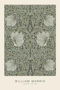Obrazová reprodukcia Pimpernel (Special Edition Classic Vintage Pattern) - William Morris, (26.7 x 40 cm)