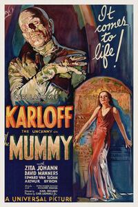 Obrazová reprodukcia The Mummy (Vintage Cinema / Retro Movie Theatre Poster / Horror & Sci-Fi)