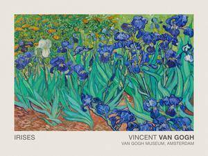 Obrazová reprodukcia Irises (Museum Vintage Floral / Flower Landscape) - Vincent van Gogh, (40 x 30 cm)