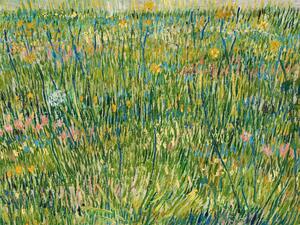 Obrazová reprodukcia A Patch of Grass - Vincent van Gogh