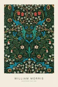 Obrazová reprodukcia Blackthorn (Special Edition Classic Vintage Pattern) - William Morris, (26.7 x 40 cm)