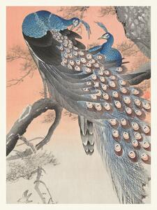 Obrazová reprodukcia Two Peackcoks on a Peach Branch (Japandi Vintage) - Ohara Koson