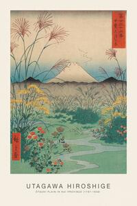 Obrazová reprodukcia Ōtsuki Plain in Kai Province (Japanese Spring Landscape) - Utagawa Hiroshige