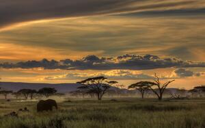 Fotografia Africa, Amnon Eichelberg