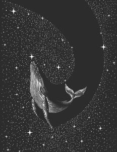 Ilustrácia Starry Whale, Aliriza Cakir