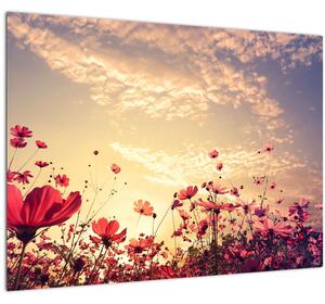 Sklenený obraz - Lúka s kvetmi (70x50 cm)