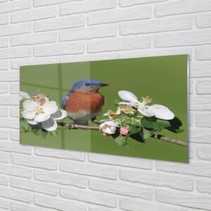 Nástenný panel  Kvety farebné papagáj 100x50 cm