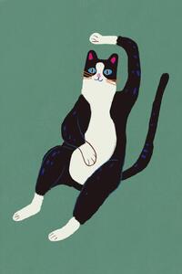 Ilustrácia Black and white cat, Little Dean