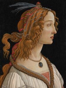 Obrazová reprodukcia Portrait of Simonetta Vespucci - Sandro Botticelli, (30 x 40 cm)