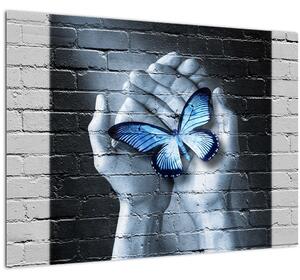 Obraz - Motýľ na stene (70x50 cm)