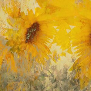 Ilustrácia Sunflower, Nel Talen, (40 x 40 cm)