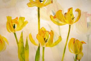 Ilustrácia Flowering tulips, Nel Talen