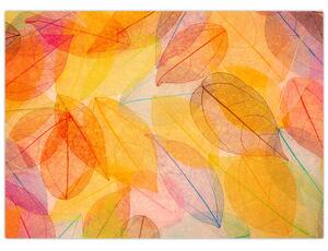 Obraz - Pozadie z jesenného lístia (70x50 cm)