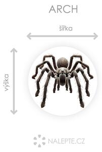 Nalepte.cz Pavúk textilní prelepiteľná nálepka na stenu arch 20 x 20 cm