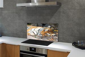 Nástenný panel  ležiace tiger 100x50 cm
