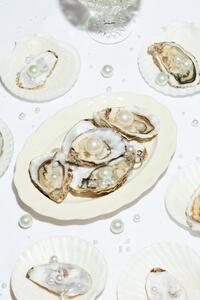 Fotografia Oysters a Pearls No 04, Studio Collection