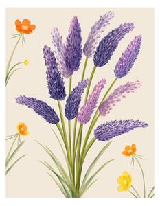 Ilustrácia Purple flower, Bohonewart
