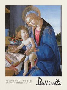 Obrazová reprodukcia The Madonna & The Book - Sandro Botticelli, (30 x 40 cm)
