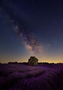 Fotografia Milky Way dreams, Carlos Hernandez Martinez