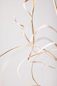 Fotografia Dried Grass Grey 02, Studio Collection