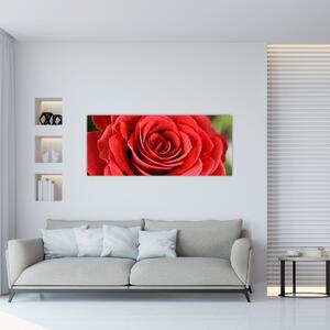 Obraz kvetu ruže (120x50 cm)