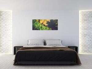 Obraz machu s hubou (120x50 cm)