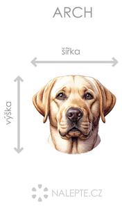Nalepte.cz Pes Zlatý Retriever textilní prelepiteľná nálepka na stenu arch 20 x 19 cm