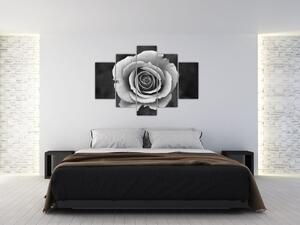 Obraz ruže (150x105 cm)