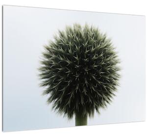 Obraz kvetinové gule (70x50 cm)