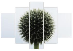 Obraz kvetinové gule (150x105 cm)
