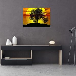 Obraz siluety stromu (70x50 cm)