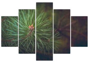 Obraz - Detail borovice (150x105 cm)