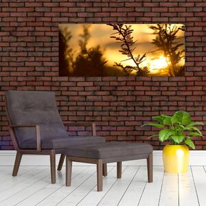 Obraz - Slnko zapadajúce za stromami (120x50 cm)