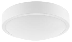 Stropné svietidlo JONAS 1xE27/60W/230V pr. 26 cm biela