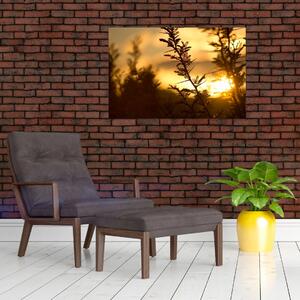 Obraz - Slnko zapadajúce za stromami (90x60 cm)