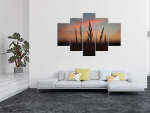 Obraz - Silueta rastliny (150x105 cm)