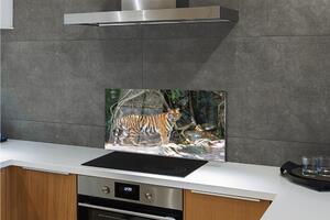 Nástenný panel  tiger džungle 100x50 cm