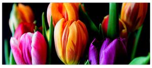 Obraz tulipánov na čiernom pozadí (120x50 cm)