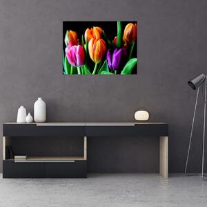 Sklenený obraz tulipánov na čiernom pozadí (70x50 cm)