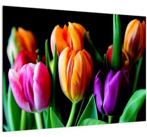 Sklenený obraz tulipánov na čiernom pozadí (70x50 cm)