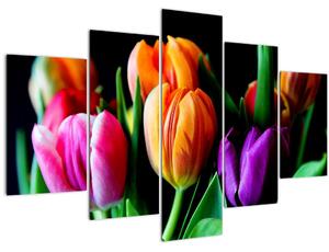 Obraz tulipánov na čiernom pozadí (150x105 cm)
