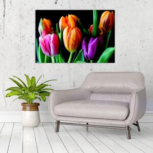 Obraz tulipánov na čiernom pozadí (90x60 cm)